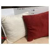 2 Throw Pillows