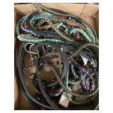 BUNGY CORDS