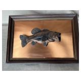 Framed Cast Fish Sculpture on Copper