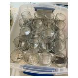 Small Glass Jelly Jars Approx 40 in Clear Tote