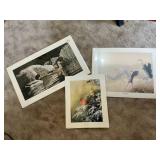 3) Wildlife Art Prints