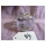 MADISON WI SCHOOL DIST GLASS APPLE