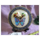 BRAZILIAN BUTTERFLIES WING ART - UNDER BUBBLE...