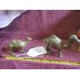 (2) VTG SOLID BRASS INDIAN VARIOUS ENGRAVED CAMELS