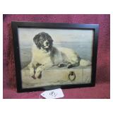 NEW FOUNDLAND DOG NAMED BOB - IN FRAME: 11"W X...