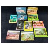 Over 100 Postcards Of Florida Wildlife