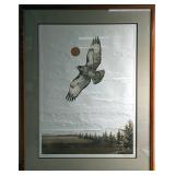 'F20' S&N Eyes Of The Hawk Textured Print
