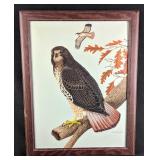 Hawk Painting by Karl Karalus