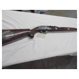 Remington 22 cal