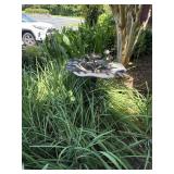 Bird Bath