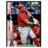 Albert Pujols Albert Pujols