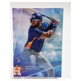 Yordan Alvarez Rookie Card Yordan Alvarez Rookie Card