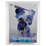 Vladimir Guerrero Jr. Rookie Card Vladimir Guerrero Jr. Rookie Card