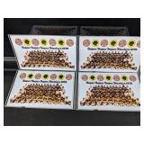 4 1979 Iron City Beer Can Flat Pittsburgh Steelers