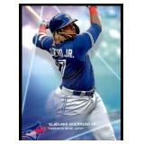 Vladimir Guerrero Jr Baseball Card