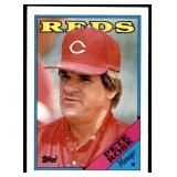 Pete Rose Baseball Card