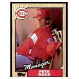 Pete Rose Baseball Card
