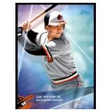 Cal Ripken Jr Baseball Card