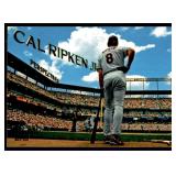 Cal Ripken Jr Baseball Card