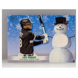 2021 Topps Winter Luis Robert Relic #WRC-LR