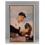 1953 Bowman Color Frank Spec Shea Senators PSB