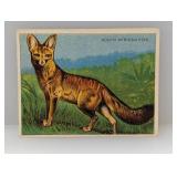 1910 Hassan Cigarettes SOUTH AFRICAN FOX Damage