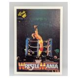 1990 Classic Wrestling Hulk Hogan HOF 26