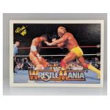 1990 Classic Wrestling Hulk Hogan HOF 95