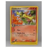 Pokï¿½mon 2003 Combusken 27