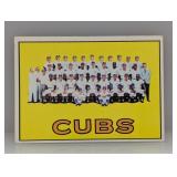 1967 Topps Cubs Team Banks/Santo/Williams 354