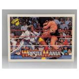 1990 Classic Wrestling Hulk Hogan HOF 35