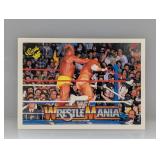 1990 Classic Wrestling Hulk Hogan HOF 94 Corner