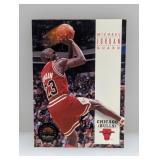 1993-94 Michael Jordan Skybox Premium Edition #45