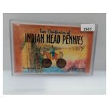 Two Centuries Indian Head Pennies