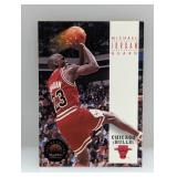 1993-94 Michael Jordan Skybox Premium Edition #45