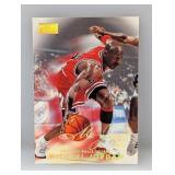 1998-99 Michael Jordan Skybox Premium #23