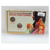 19th & 20th Century Indian Head Pennies Set