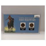 19th & 20th Century Indian Head Pennies Set