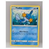 2019 Pokemon Mudkip Surface/Indents