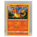 2018 Pokemon Charmanderï¿½Damage