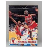 1993-1994 NBA Hoops Michael Jordan #28