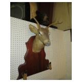 MOUNTED DEER HEAD WITH HOOF GUN MOUNT