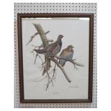 FRAMED ARTIST SIGNED SPRUCE GROUSH PRINT