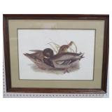 FRAMED ARTIST SIGNED COMMON WILD DUCKS PRINT