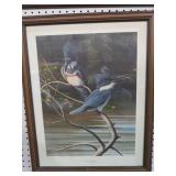 FRAMED ARTIST SIGNED BELLED KING FISHER PRINT