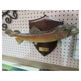 SPECKLED TROUT 1983 TELLICO