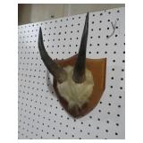 SET OF MOUNTED HORNS