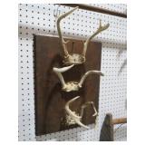 MOUNTED DEER ANTLERS