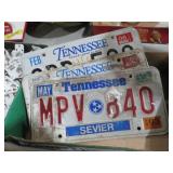 COLLECTION OF LICENSE PLATES