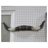 PAIR OF STEER HORNS